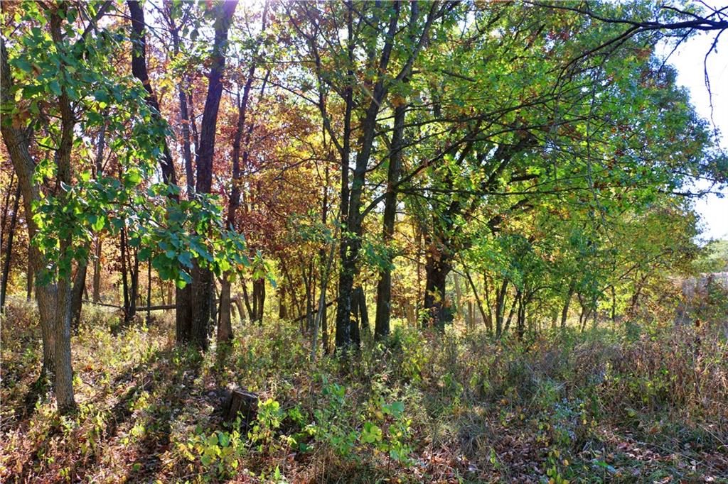 19904 Rattlesnake Road Property Photo 57