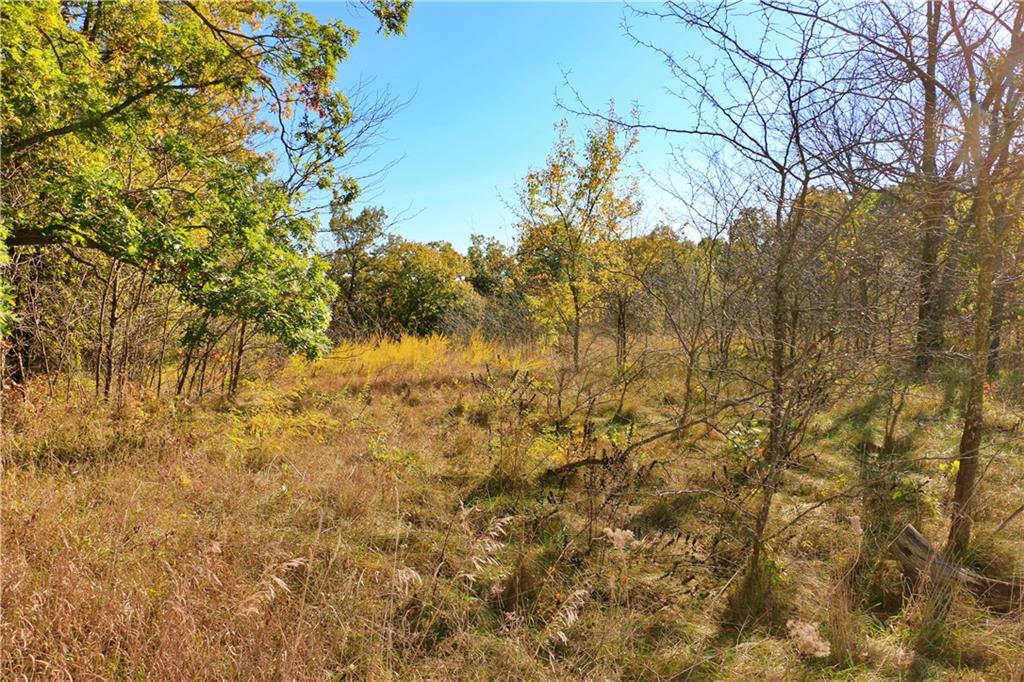 19904 Rattlesnake Road Property Photo 59