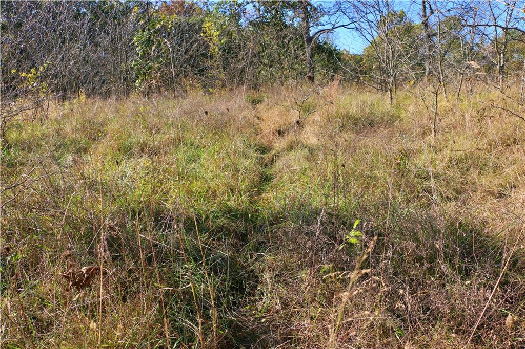 19904 Rattlesnake Road Property Photo 60