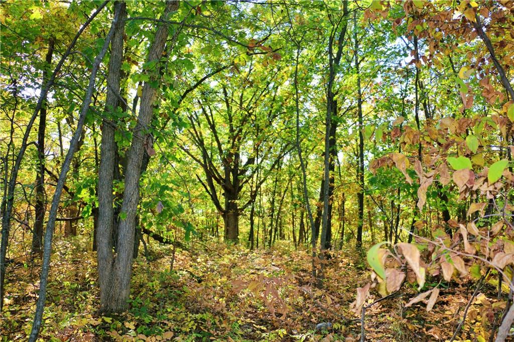 19904 Rattlesnake Road Property Photo 61