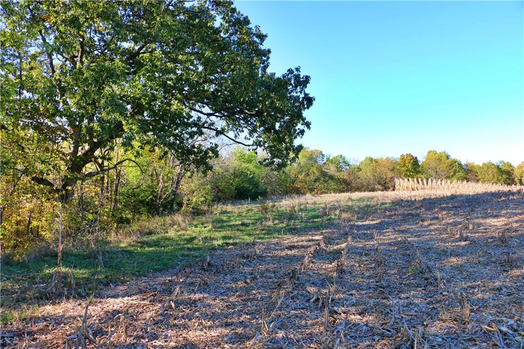 19904 Rattlesnake Road Property Photo 64