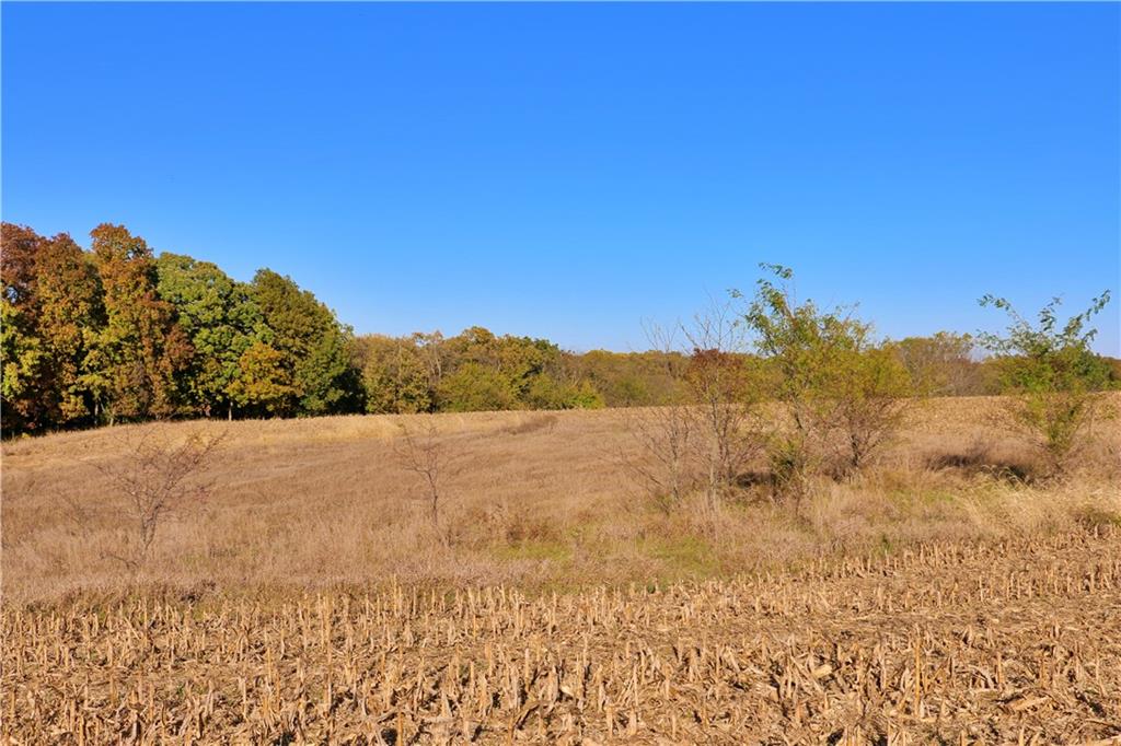 19904 Rattlesnake Road Property Photo 66