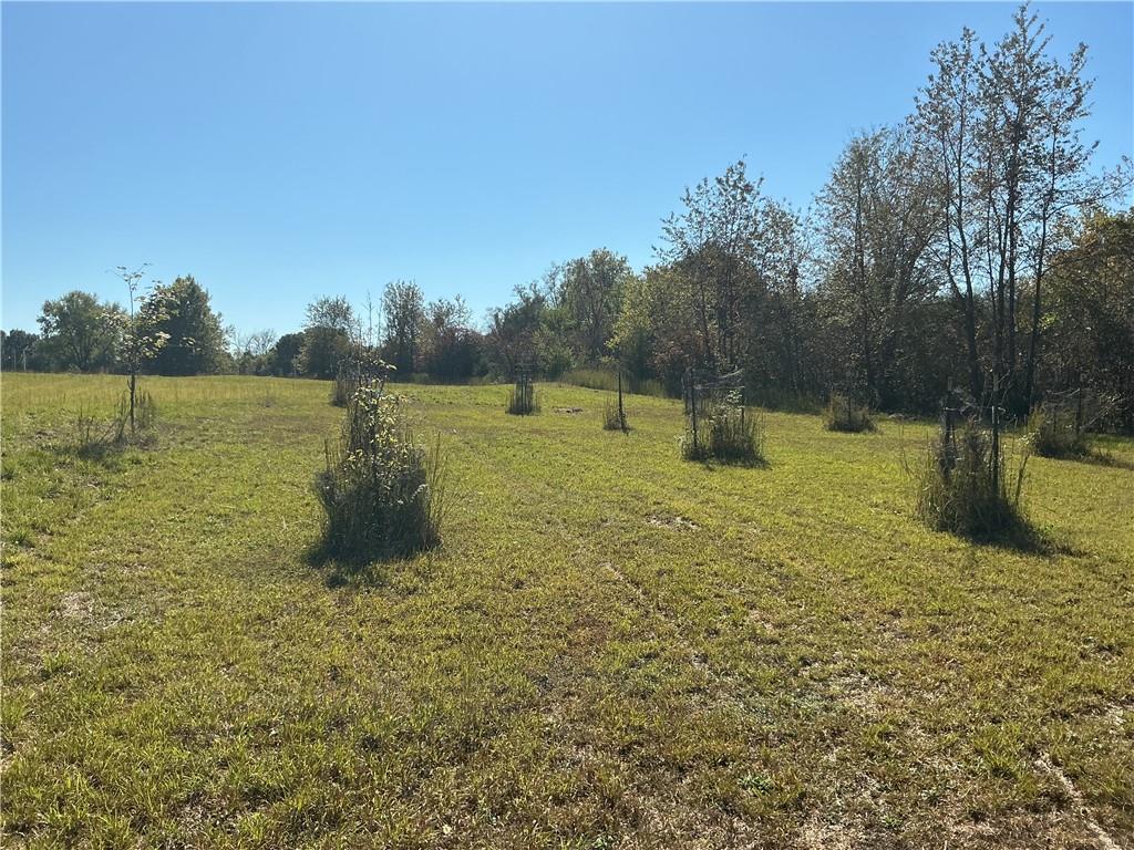 2125 Riley Road Property Photo 24