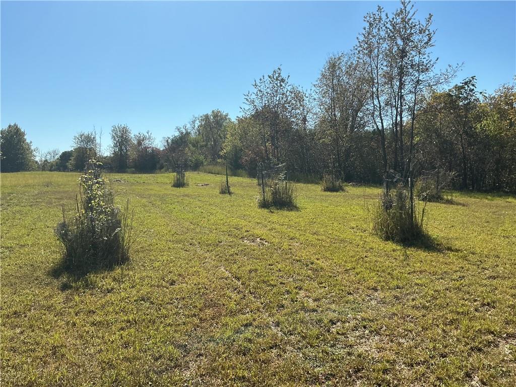 2125 Riley Road Property Photo 25