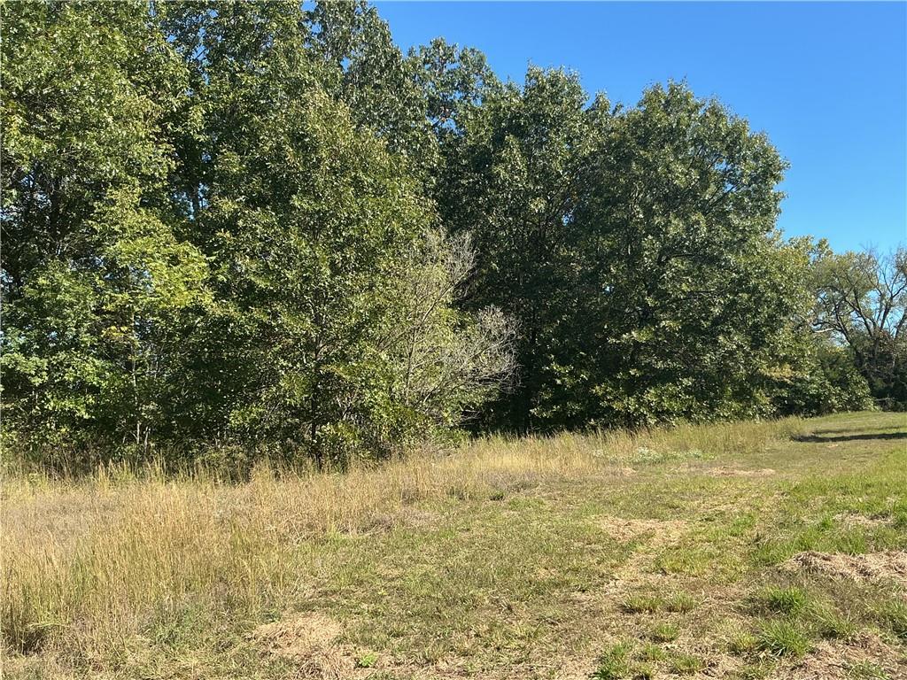 2125 Riley Road Property Photo 26