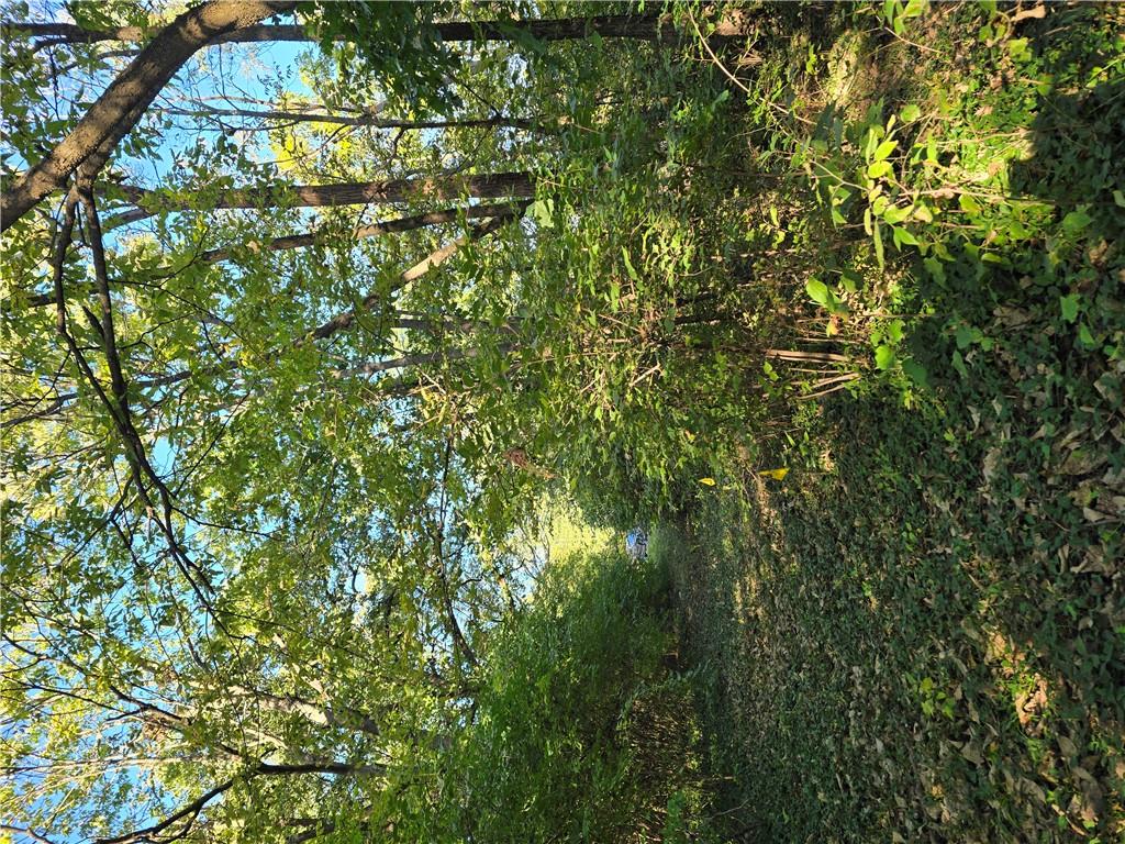 601 N Mckissock Street Property Photo 5
