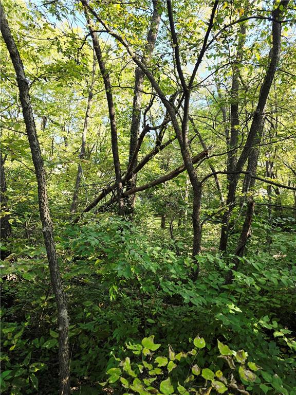 601 N Mckissock Street Property Photo 9