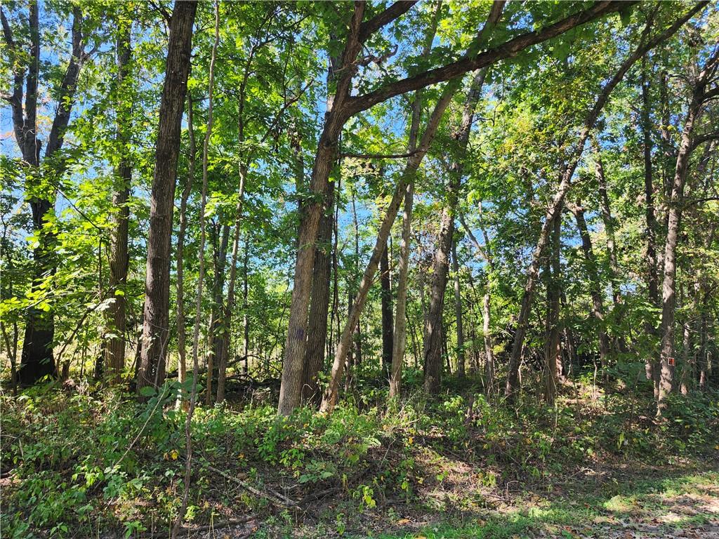 S Sawmill Road Property Photo 2