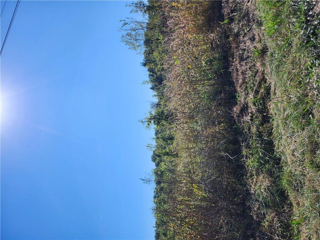 S Sawmill Road Property Photo 3