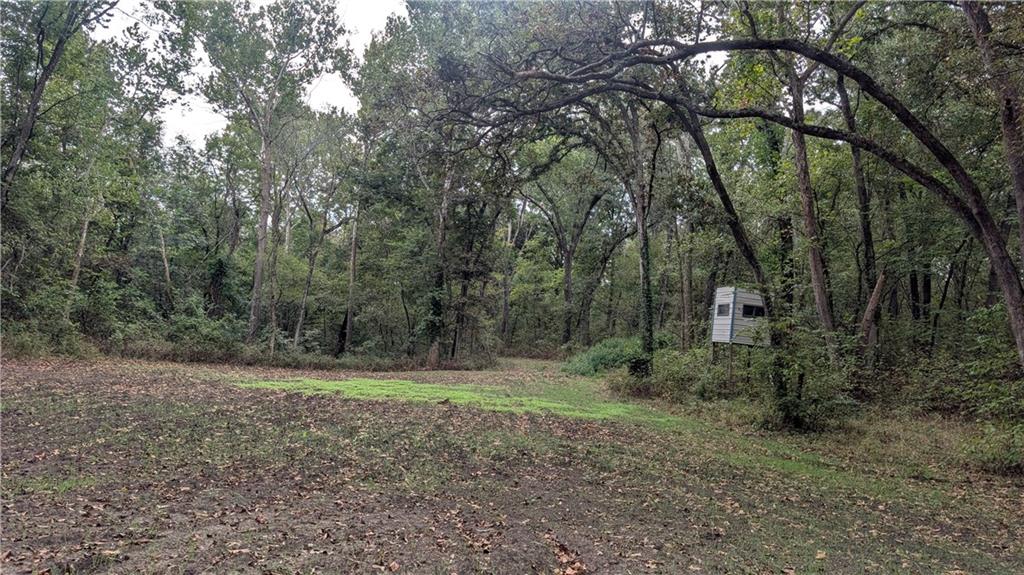 5740 731 Road Property Photo 4