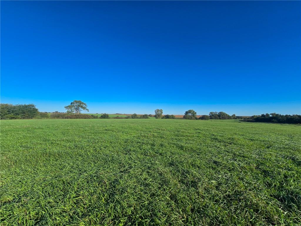Skiddy Road Property Photo 2