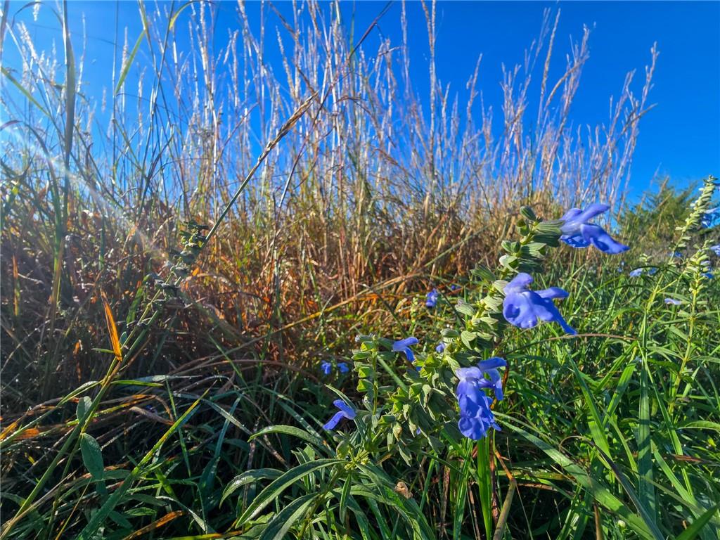Skiddy Road Property Photo 3
