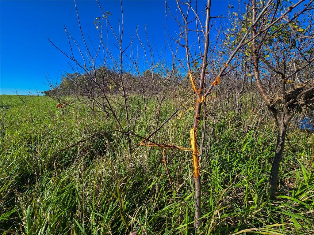 Skiddy Road Property Photo 4