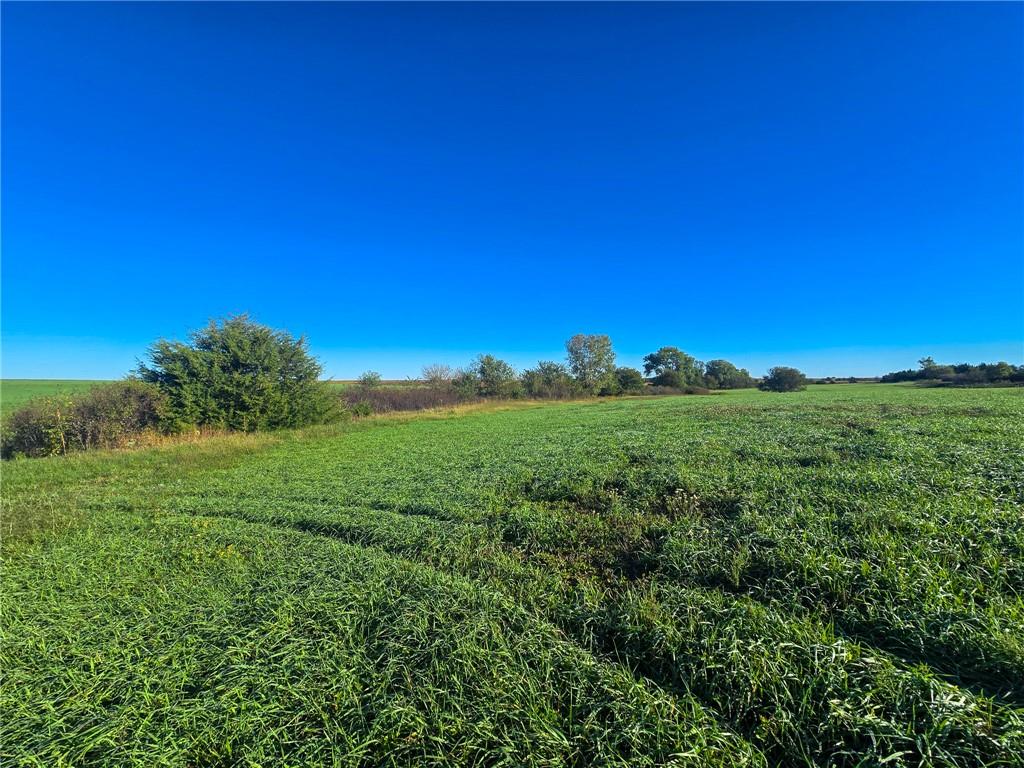 Skiddy Road Property Photo 5