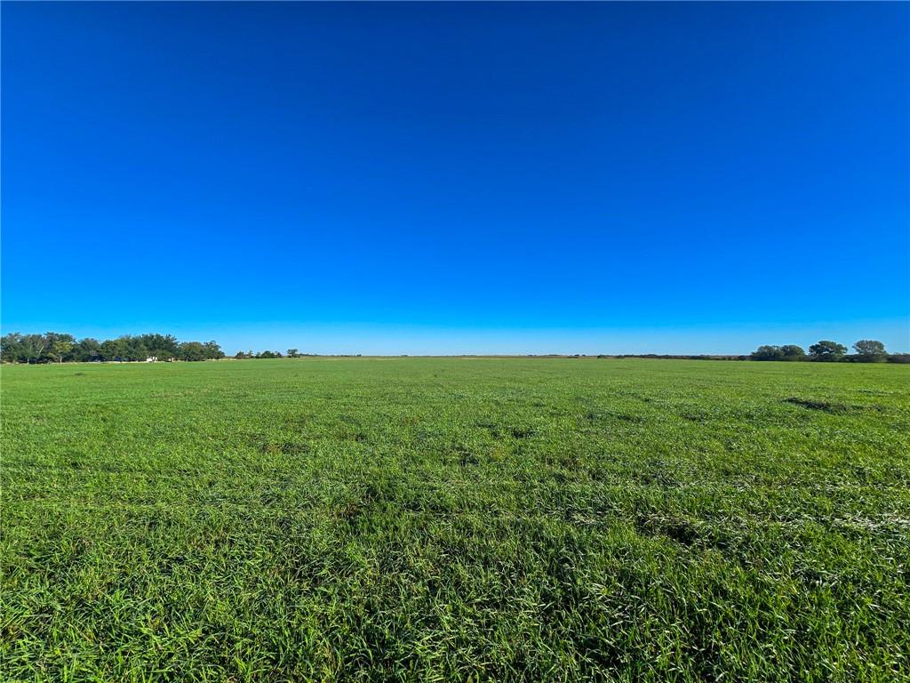 Skiddy Road Property Photo 7