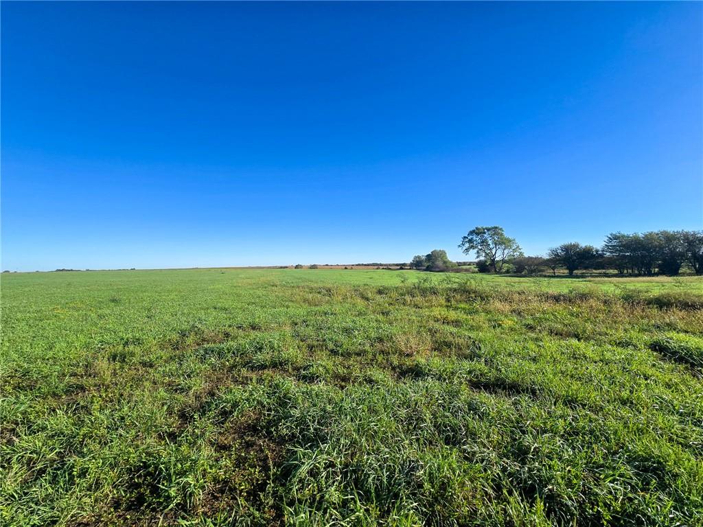 Skiddy Road Property Photo 9