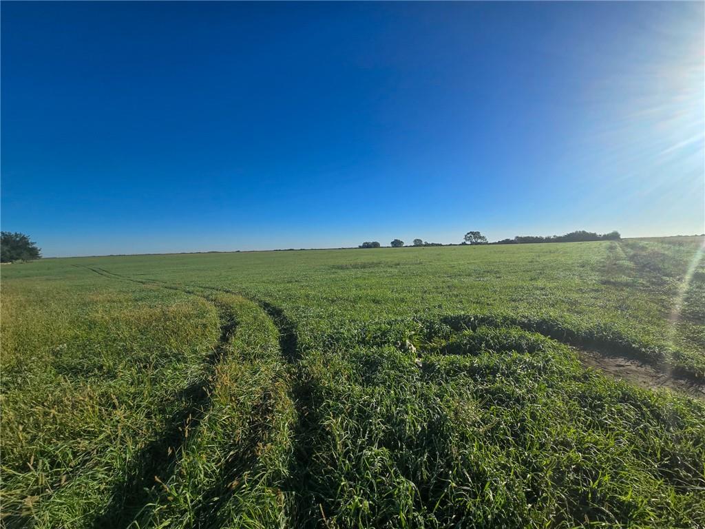 Skiddy Road Property Photo 11