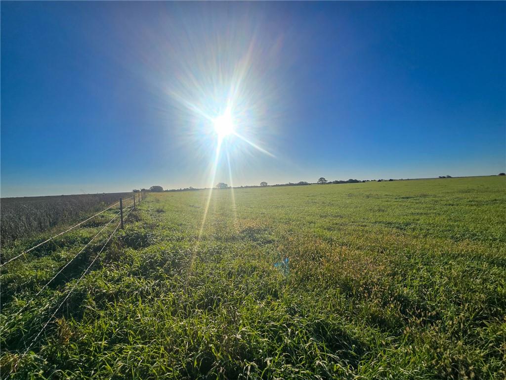 Skiddy Road Property Photo 13