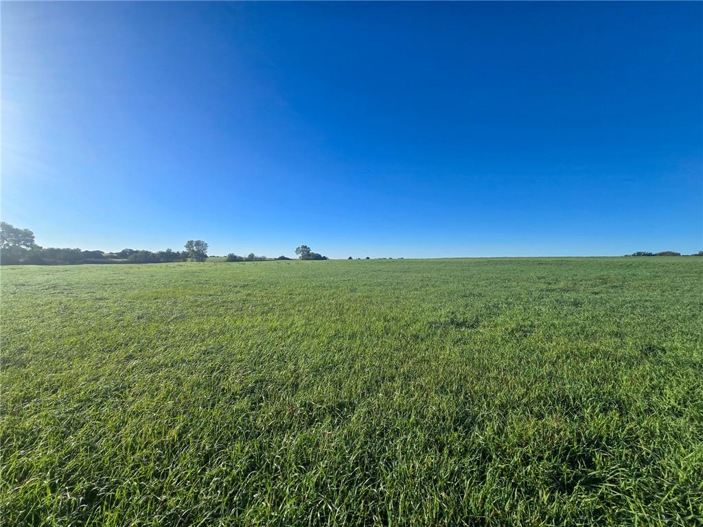 Skiddy Road Property Photo 14