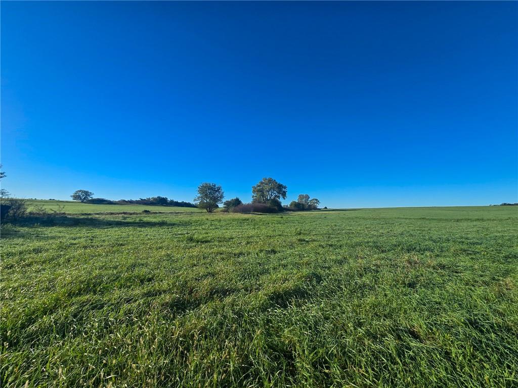 Skiddy Road Property Photo 17