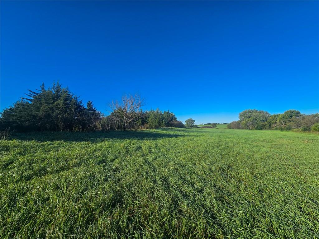 Skiddy Road Property Photo 18