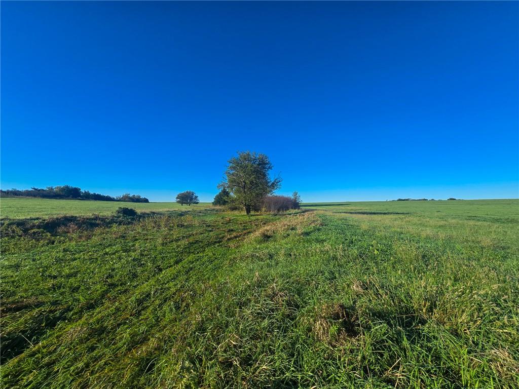 Skiddy Road Property Photo 19