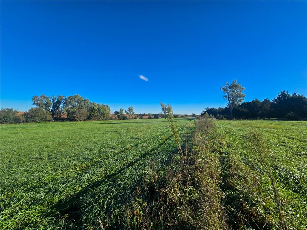 Skiddy Road Property Photo 20