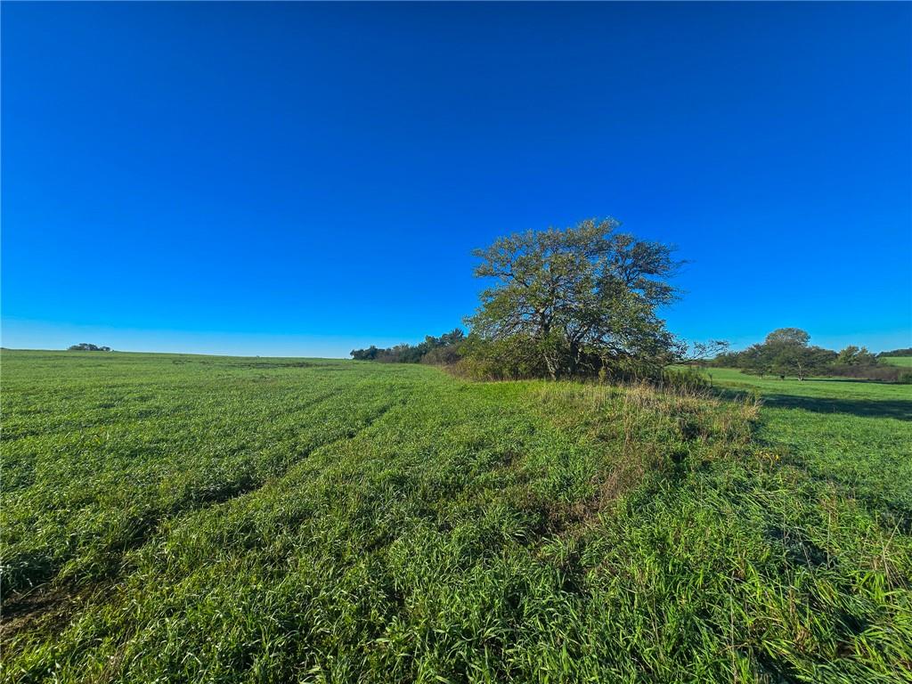 Skiddy Road Property Photo 21