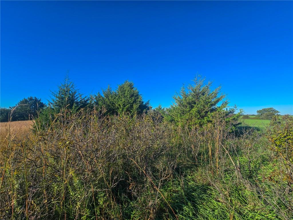 Skiddy Road Property Photo 22