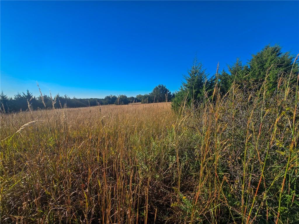 Skiddy Road Property Photo 23