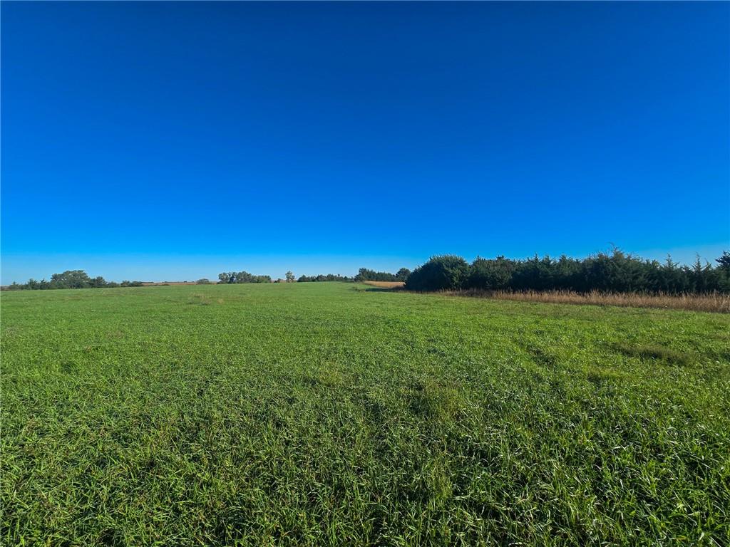 Skiddy Road Property Photo 24