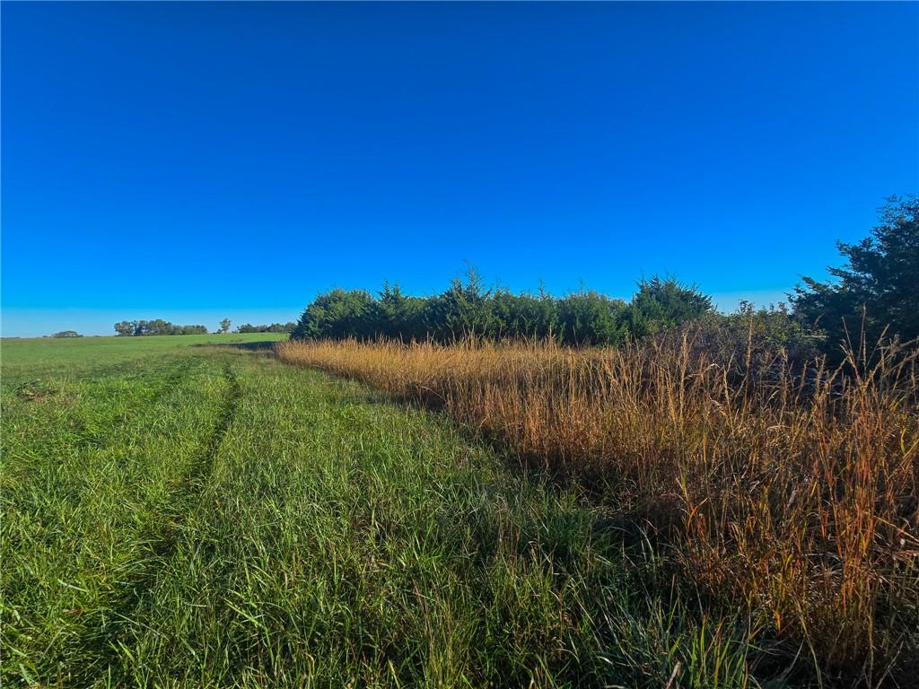 Skiddy Road Property Photo 26