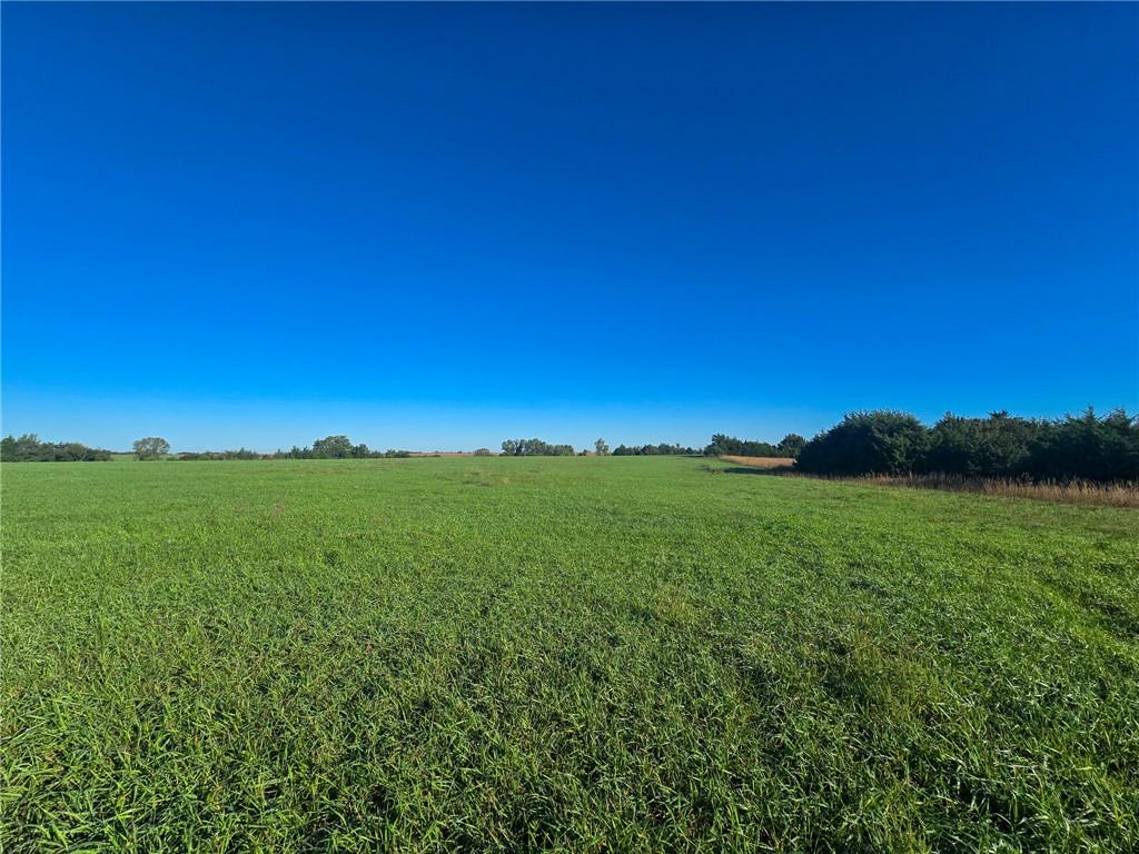 Skiddy Road Property Photo 27