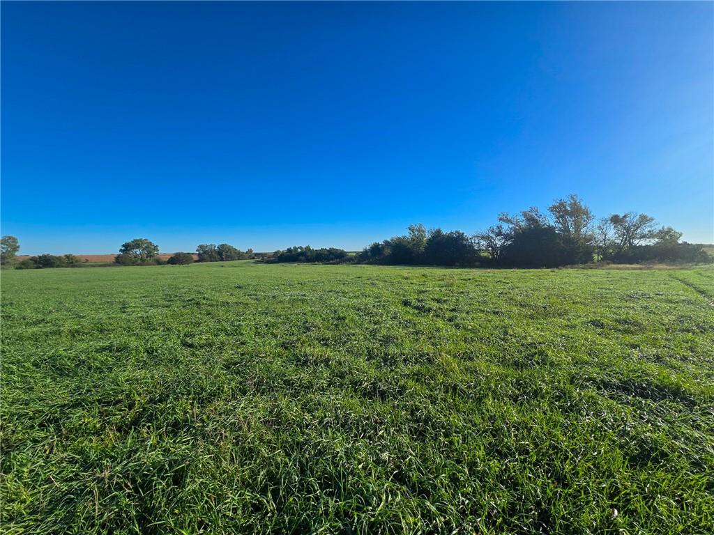 Skiddy Road Property Photo 28