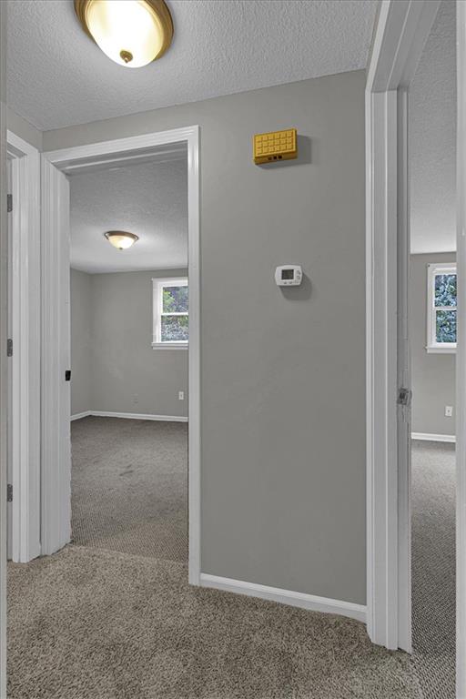 6503 River Road Property Photo 20