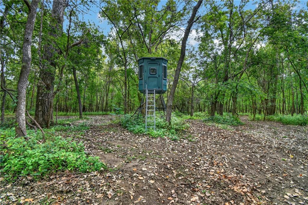 Tbd S Brush College Road Property Photo 6
