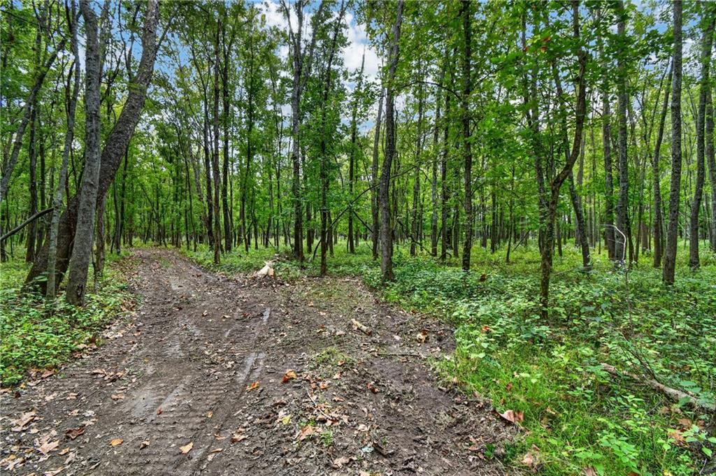 Tbd S Brush College Road Property Photo 9