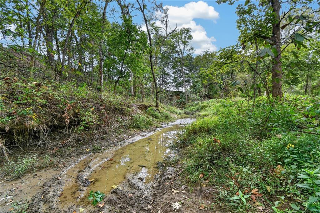 Tbd S Brush College Road Property Photo 12