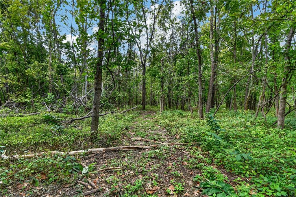 Tbd S Brush College Road Property Photo 14