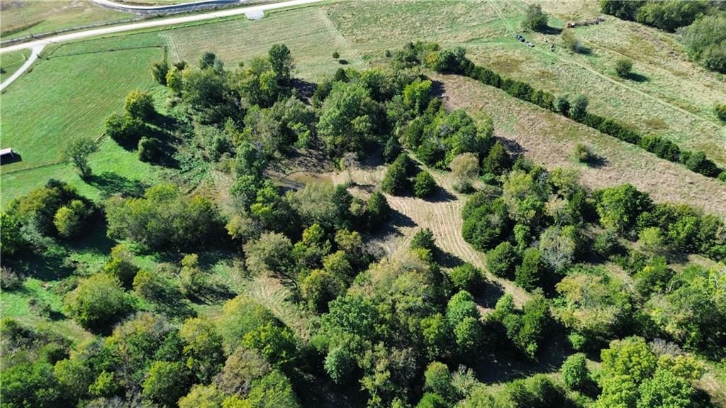 Harmony Road Property Photo 11