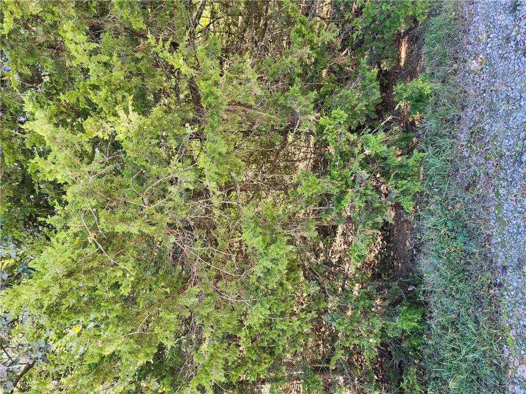 6 W Ridgewood Circle Property Photo 3