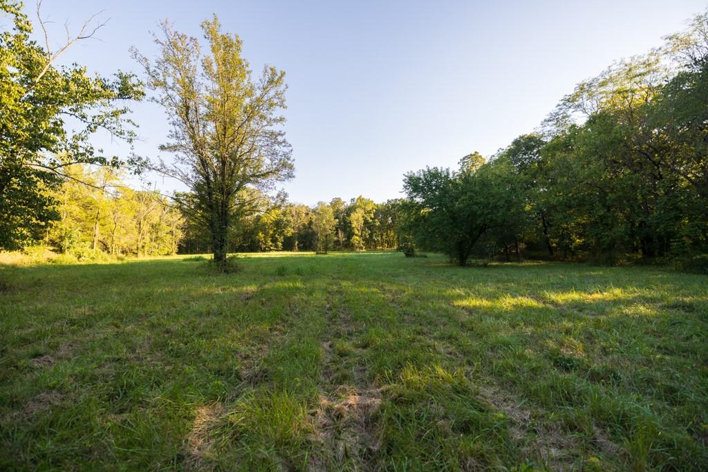 708 Poplar Ridge Property Photo 8