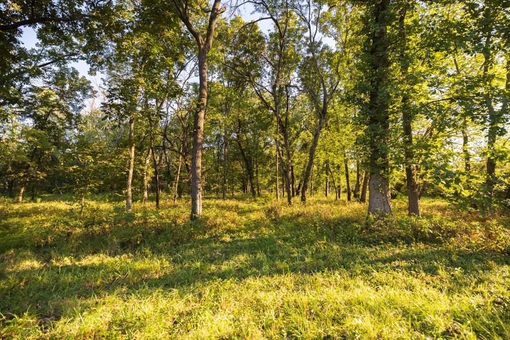 708 Poplar Ridge Property Photo 9