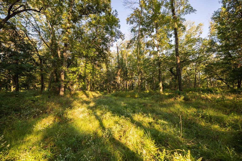 708 Poplar Ridge Property Photo 12