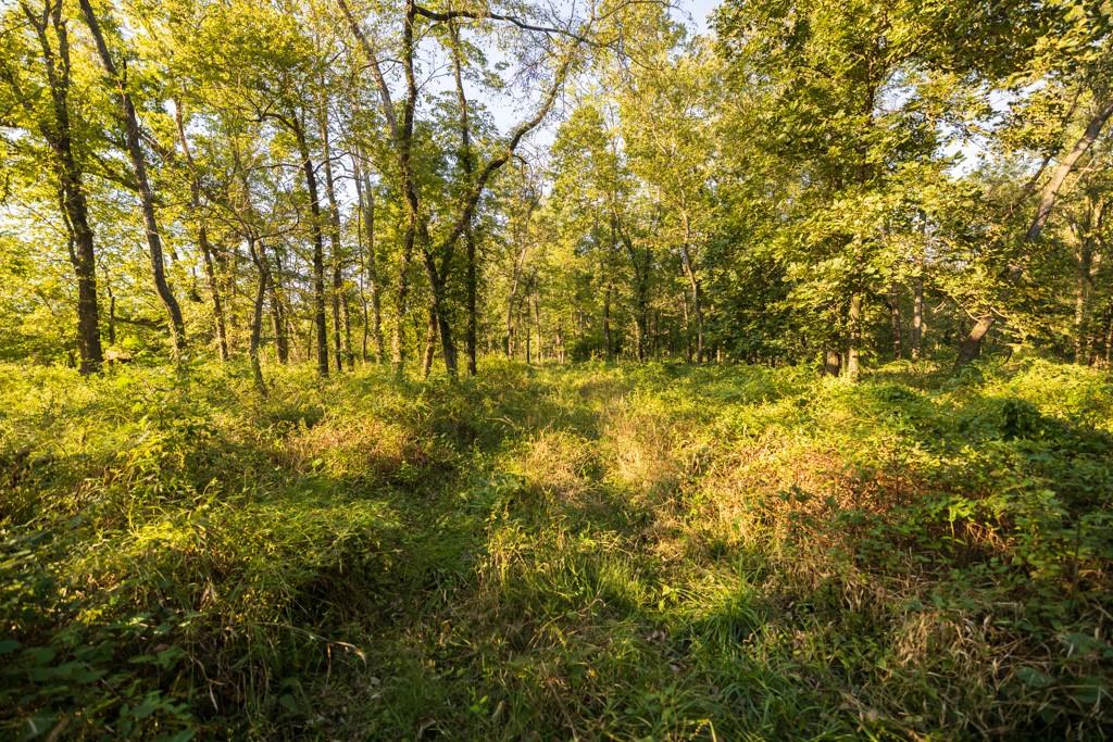 708 Poplar Ridge Property Photo 13