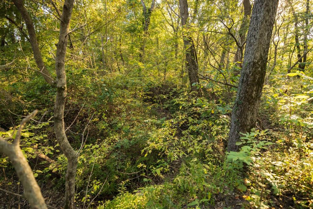 708 Poplar Ridge Property Photo 14