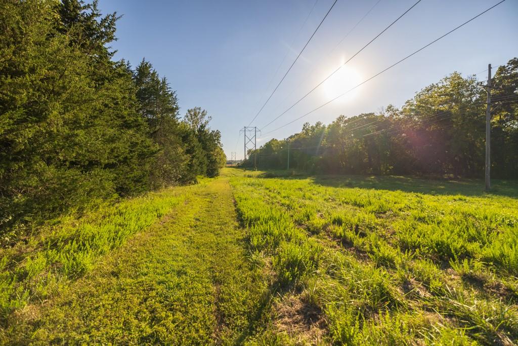 708 Poplar Ridge Property Photo 17