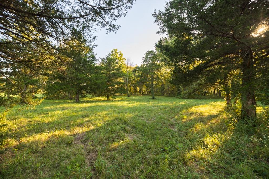 708 Poplar Ridge Property Photo 22