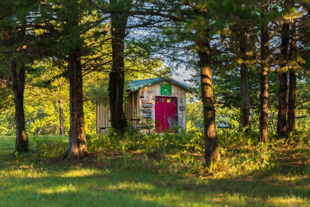 708 Poplar Ridge Property Photo 42