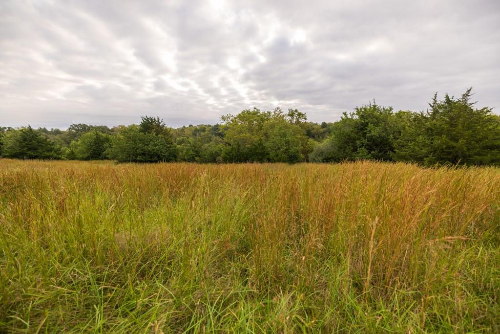 4281 Old Havana Trail Property Photo 4